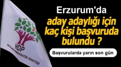 HDP'de aday başvuruları sürüyor