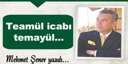 Teamül icabı, temayül...