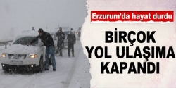 Erzurum'a Kara Kış Geri Döndü!