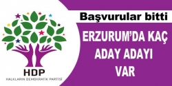 HDP'de başvurular bitti!