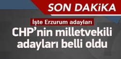 İşte CHP'nin milletvekili adayları