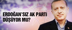 Erdoğan'sız AK Parti düşer mi?