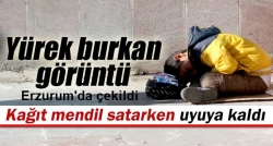 Kağıt mendil satarken uyuya kaldı!