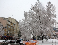 Erzurum'da kar yağışı