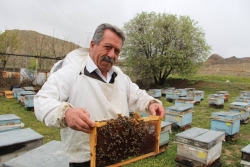 Arıcıların kar korkusu