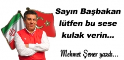 Sayın Başbakan, lütfen bu sese kulak verin...