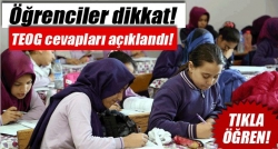 MEB, TEOG sonuçlarını açıkladı!