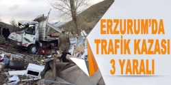 Erzurum'da trafik kazası