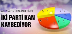 Andy-Ar'ın son anketi!