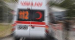 Köstebek yakalamak isterken yaralandı