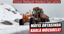 Büyükşehir kışın yatınca!