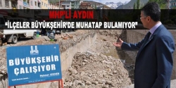 MHP'li Aydın ve Kaya, ilçe ziyaretlerinde