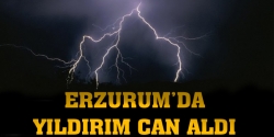 Erzurum'da yıldırım can aldı