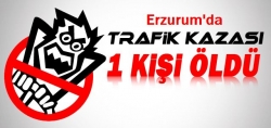 Trafik Kazası: 1 ölü