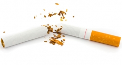 Dünyada yılda 6 milyon kişi sigaradan ölüyor