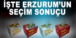 İşte Erzurum'da seçim sonucu!