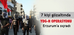 Erzurum'da terör örgütü operasyonu
