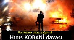Hınıs Kobani davasında karar