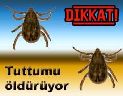Kene yine can yakacak!