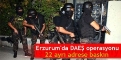 Erzurum'da DAEŞ operasyonu