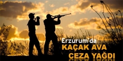 Kaçak ava ceza yağdı!