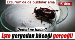 Hiçbir maddi değeri yok