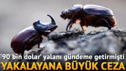 Gergedan böceği yakalayana para cezası!