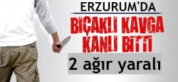 Çat'ta kanlı kavga: 2 yaralı