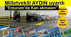 Aydın'ın otopark endişesi!