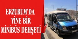 Erzurum'da minibüs dehşeti