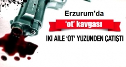 Erzurum'da ot kavgası: 1 yaralı