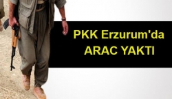 PKK araç yaktı!