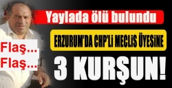 CHP Erzurum Meclis Üyesi öldürüldü!