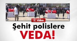 HDP'li vekilden PKK'yı kınama