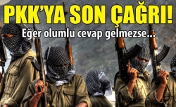 PKK'ya son kez 'silah bırak' çağrısı!