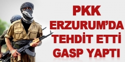 PKK'dan Tekmen'da gasp ve tehdit!