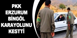 PKK Bingöl-Erzurum karayolunu kesti!