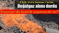 İran'dan dogalgaz alımını durdurdu