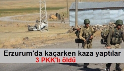 PKK'lılar kaçarken kaza yaptı: 3 ölü