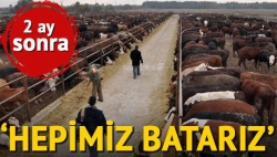 Et ithalatı olursa yüzlerce besici batar