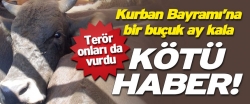 Kurbanlık sevkiyatlarında ‘PKK’ korkusu!