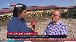 Büçge, hayvancılık gerçeğini açıkladı!