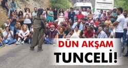 Tunceli’de yol kesip propaganda yaptı