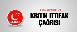 1 Kasım seçimi için ittifak çağrısı