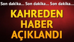 TSK'dan dağlıca açıklaması: 16 şehit!