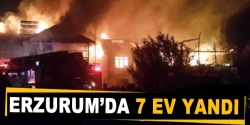 Erzurum'da 7 ev yandı