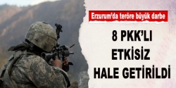 Erzurum'da 8 PKK'lı etkisiz hale getirildi!