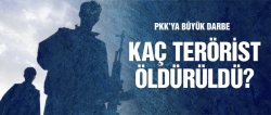 PKK'ya büyük darbe kaç terörist öldürüldü?