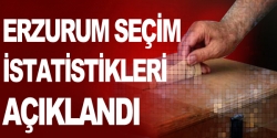 Erzurum seçim istatistikleri açıklandı