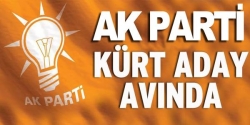AK Parti Kürt aday avında